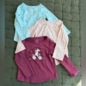 Lot of 3 long sleeve girls’ tees, 2T, GUC